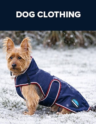 Dog Clothing